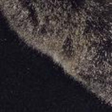 Load image into Gallery viewer, Possum and Merino  KO200 Fur Trim Beanie - A gorgeous and warm beanie, large enough to pull right down over your ears to keep out the winter chill. Generously trimmed with luxurious possum fur.  Make a set with KO56 Fur Trim Gloves.  One Size  Made proudly in New Zealand from a premium blend of 40% possum fur, 50% merino lambswool & 10% mulberry silk.